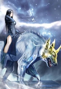 九品相婿